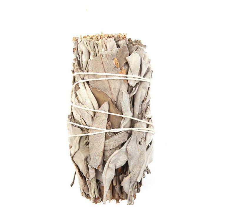 Healing Wisdom - White Sage