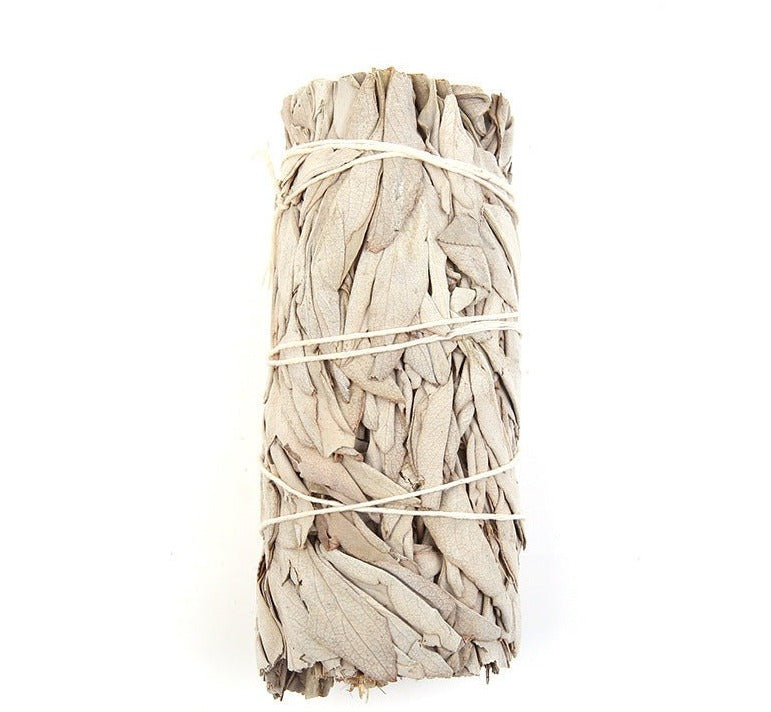 Healing Wisdom - White Sage